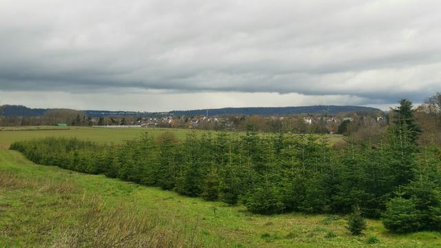 Wetter Altforweiler