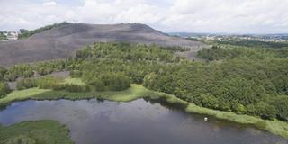 Der Kohlbachweiher am Saarkohlenwald  (Foto: IMAGO / Becker&Bredel)