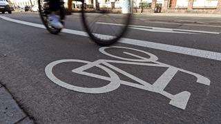 Eine Frau fährt mit einem Fahrrad auf einer Fahrradstraße (Foto: picture alliance/dpa | Uli Deck)