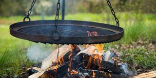 Ein Schwenker (Foto: picture alliance / dpa Themendienst | Daniel Karmann)