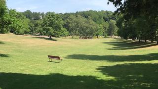 Im Deutsch-Französischen Garten (Foto: UNSERDING/Florian Rahbari)