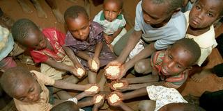 Kinder halten Mais in ihren Händen (Foto: picture-alliance / dpa)