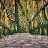 Alte Brücke aus Holz in einem Wald (Foto: pixabay)