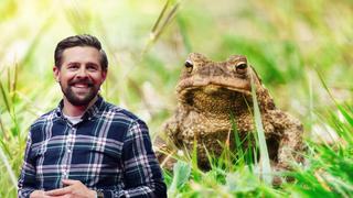 Klaas Heufer-Umlauf und eine Kröte auf einem Bild. (Foto: pixabay & picture alliance/dpa/ProSieben | Stefan Gregorowius)