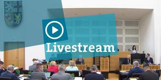Livestream. Landtagssitzung am 19.03.2025 (Foto: SR)