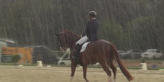 Reiterin mit Pferd im Regen (Foto: SR)