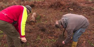 Zwei Männer bei der öffentlichen Baumpflanzaktion „Einheitsbuddeln“ (Foto: SR)