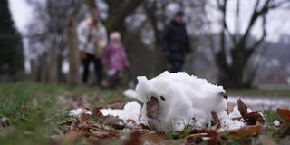tauender Schnee auf einer Wiese (Foto: SR)