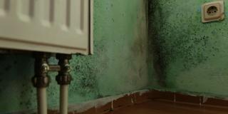 Schimmel an einer Wohnwand (Foto: SR)