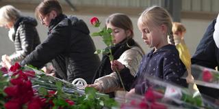 Menschen verpacken Rosen (Foto: SR)