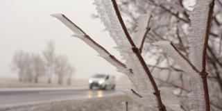 Raureif hat sich auf der Straße  und Pflanzen gebildet. Glatteisgefahr. (Foto: picture alliance/dpa/dpa-Zentralbild | Matthias Bein)