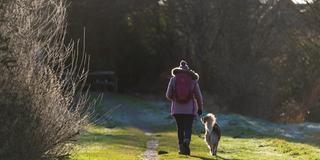 Eine Frau geht mit ihrem Hund an einem kalten Wintermorgen spazieren. (Foto: picture alliance/dpa | Philipp Schulze)