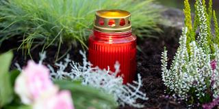 Eine Kerze steht auf einem Grab (Foto: picture alliance/dpa | Sven Hoppe)