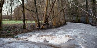 Ein Bachlauf führt viel Wasser durch heftigen Regen (Foto: picture alliance/dpa | Daniel Vogl)