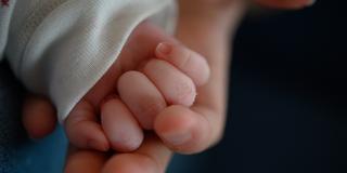 Die Hand eines Neugeborenen liegt in der Hand seiner Mutter. (Foto: picture alliance/dpa | Sebastian Gollnow)