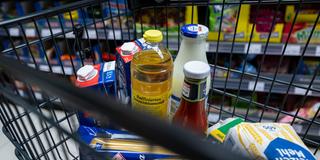 Verschiedene Lebensmittel in einem Einkaufswagen (Foto: picture alliance/dpa | Hendrik Schmidt)