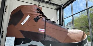Der größte Schuh der Welt  (Foto: SR / Lisa Huth)