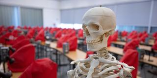 Ein Skelettmodell steht in einem Mikroskopiersaal. (Foto: picture alliance/dpa | Sebastian Gollnow)