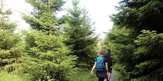 Zwei Wanderer gehen einen nassen Wanderweg entlang. (Foto: picture alliance/dpa | Stefan Rampfel)