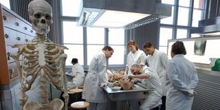 Medizinstudierende sezieren eine Leiche (Foto: picture alliance / dpa | Siewert Falko)