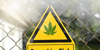 Schild mit Hanfblatt und Aufschrift Cannabis-Club (Foto: picture alliance / CHROMORANGE | Christian Ohde)