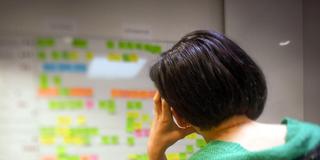 Eine Frau mit dem Kopf auf die Hand gestützt im Büro (Foto: picture alliance/dpa/STT-Lehtikuva | Antti Aimo-Koivisto)