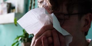 Ein Mann putzt sich mit einem Taschentuch die Nase  (Foto: picture alliance/dpa | Philip Dulian)