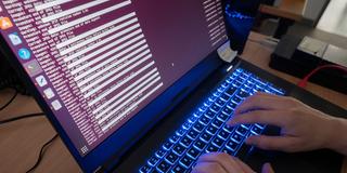 Eine Person arbeitet an einem Computerbildschirm. (Foto: picture alliance/dpa | Julian Stratenschulte)