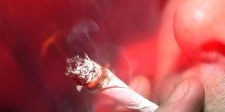 Jemand zieht an einer rauchenden Zigarette (Foto: picture alliance / dpa | Torsten Leukert)