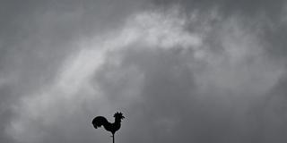 Über einem Wetterhahn schweben dunkle Regenwolken. (Foto: picture alliance/dpa | Bernd Weißbrod)