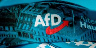 Das Logo der AfD steht auf einem Schlüsselband der AfD. (Foto: picture alliance/dpa | Carsten Koall)