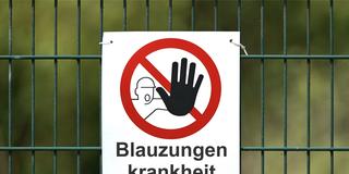 Ein weisses Warnschild mit der Aufschrift "Blauzungenkrankheit Sperrbezirk" (Foto: picture alliance / SULUPRESS.DE | Torsten Sukrow / SULUPRESS.DE)