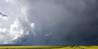 Dunkle Wolken und Fallstreifen eines aufziehenden Gewitters sind am Himmel zu sehen. (Foto: picture alliance / Jan Eifert | Jan Eifert)