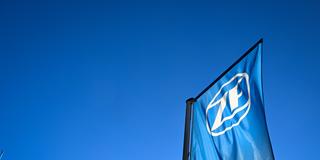 Das Logo der Firma ZF auf einer Fahne (Foto: picture alliance/dpa | Felix Kästle)