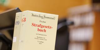 Eine Ausgabe des Strafgesetzbuches steht auf einem Pult. (Foto: picture alliance/dpa | Friso Gentsch)