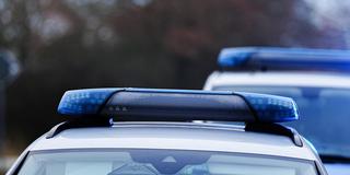 Mehrere Polizeifahrzeuge mit Blaulicht stehen an einer Straße. (Foto: picture alliance / Eibner-Pressefoto | Marcel von Fehrn)