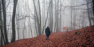 Eine Frau geht im Winter durch einen nebeligen Wald spazieren. (Foto: picture alliance / Goldmann)