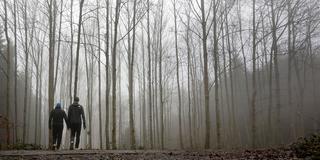 Zwei Spaziergänger bei Nebel im Wald (Foto: picture alliance/dpa | Thomas Warnack)