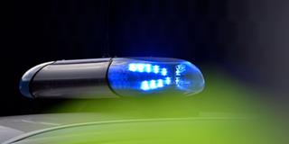 Blaulicht eines Polizeiwagens im Grünen (Foto: picture alliance/dpa | Katharina Kausche)