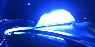 Blaulicht eines Polizeifahrzeugs bei Nacht (Foto: picture alliance / Patrick Seeger/dpa)