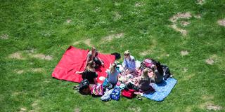Junge Leute beim Picknick (Foto: dpa/Silas Stein)