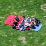 Junge Leute beim Picknick (Foto: dpa/Silas Stein)