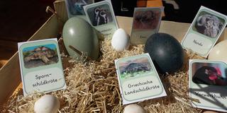 Artenschutz (Foto: SR)