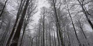 Blieskastel (Foto: SR)