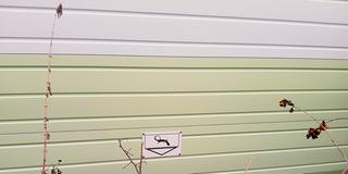 Ein Schild mit einem Lurch weist auf einen Kleintierdurchgang der Lärmschutzwand einer Bahnstrecke hin (Foto: Gerd Heger / SR)