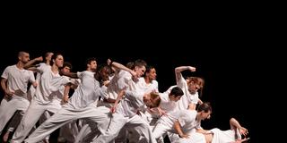 Festival Perspectives 2025: Roommates Lazarus (Foto: Didier Philispart)