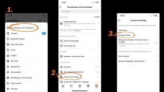 Drei Screenshots der App Instagram nebeneinander, zu sehen sind Einstellungen. (Foto: Instagram)