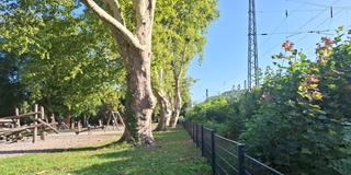 Ein Sicherheitszaun zwischen Spielplatz und Bahngleisen im Merziger Stadtpark (Foto: Kreisstadt Merzig/Anna Biehl)
