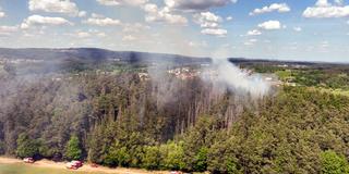 Rauch über dem Wald Hirschberg, Neunkirchen Kohlhof (Foto: SR / Felix Schneider)