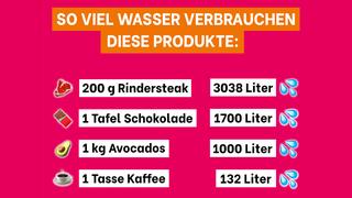 Eine Übersicht wie viel Wasser die Herstellung von Rindersteak, Schokolade, Avocado und Kaffee benötigt. (Foto: UNSERDING)